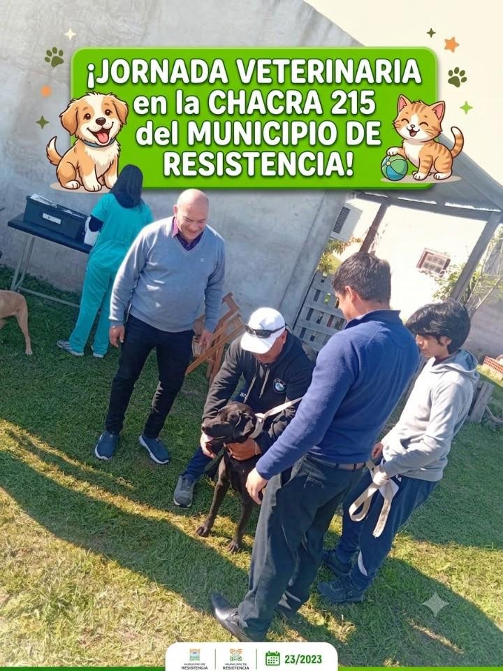 Éxito total en el operativo veterinario municipal en la Chacra 215