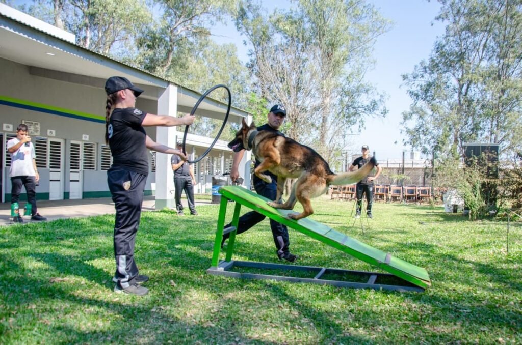 Departamento de Canes de la Policía del Chaco: seis años, 26 perros y un rol clave contra el narcotráfico